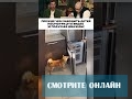 Прежде чем заводить детей посмотри это 🤣