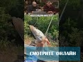 Как такое вообще возможно!