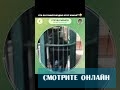 Тгк: memeute #мемы #прикол #кружок #мем #приколы #юмор #смешно